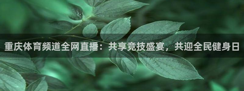 篮球直播jrkan：重庆体育频道全网直播：共享竞技盛宴，共迎全民健身日