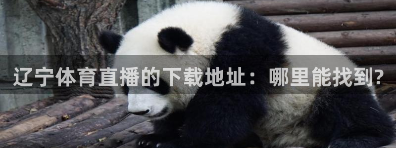 jrkan体育直播网：辽宁体育直播的下载地址：哪里能找到?